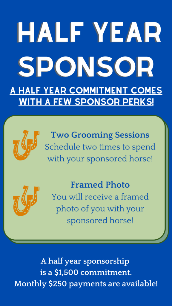 HALF Year sponsor: A half year commitment comes with a few sponsor perks! Two Grooming Sessions Schedule two times to spend with your sponsored horse! Framed Photo You will receive a framed photo of you with your sponsored horse! A half year sponsorship is a $1,500 commitment. Monthly $250 payments are available!