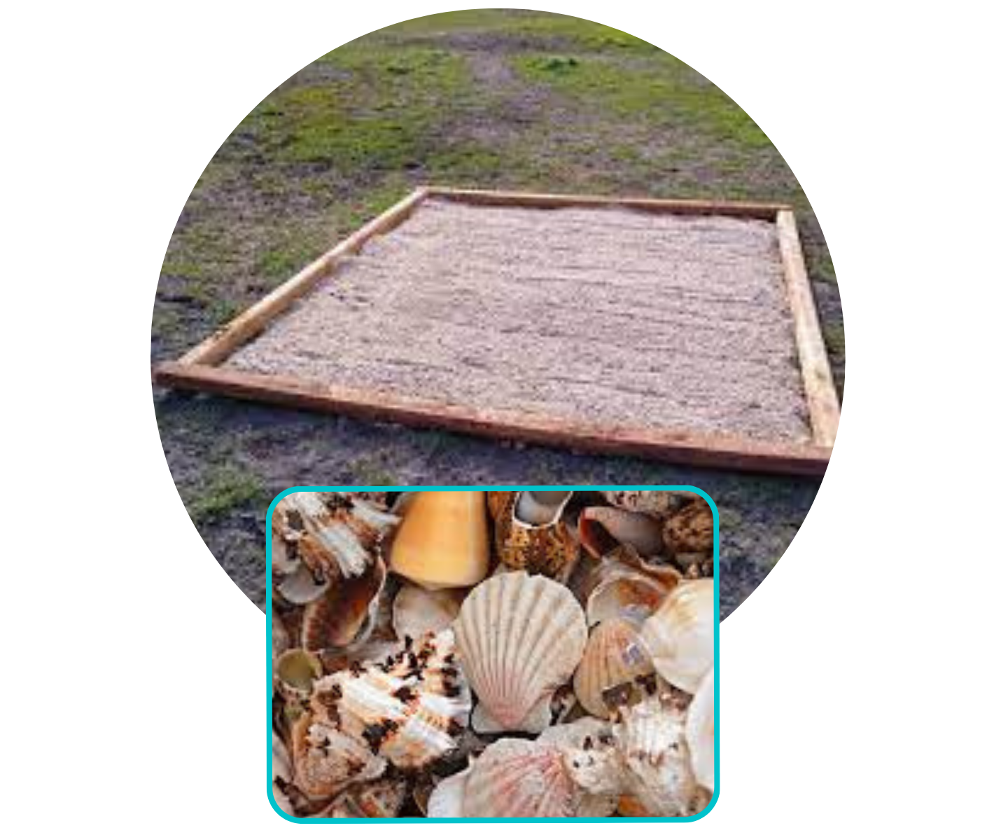 Sand pit on the grass and various textured sea shells.