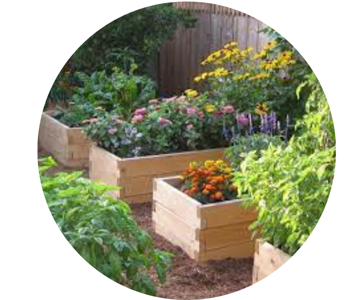 4 wooden garden boxes, with orange, purple, and yellow flowers.