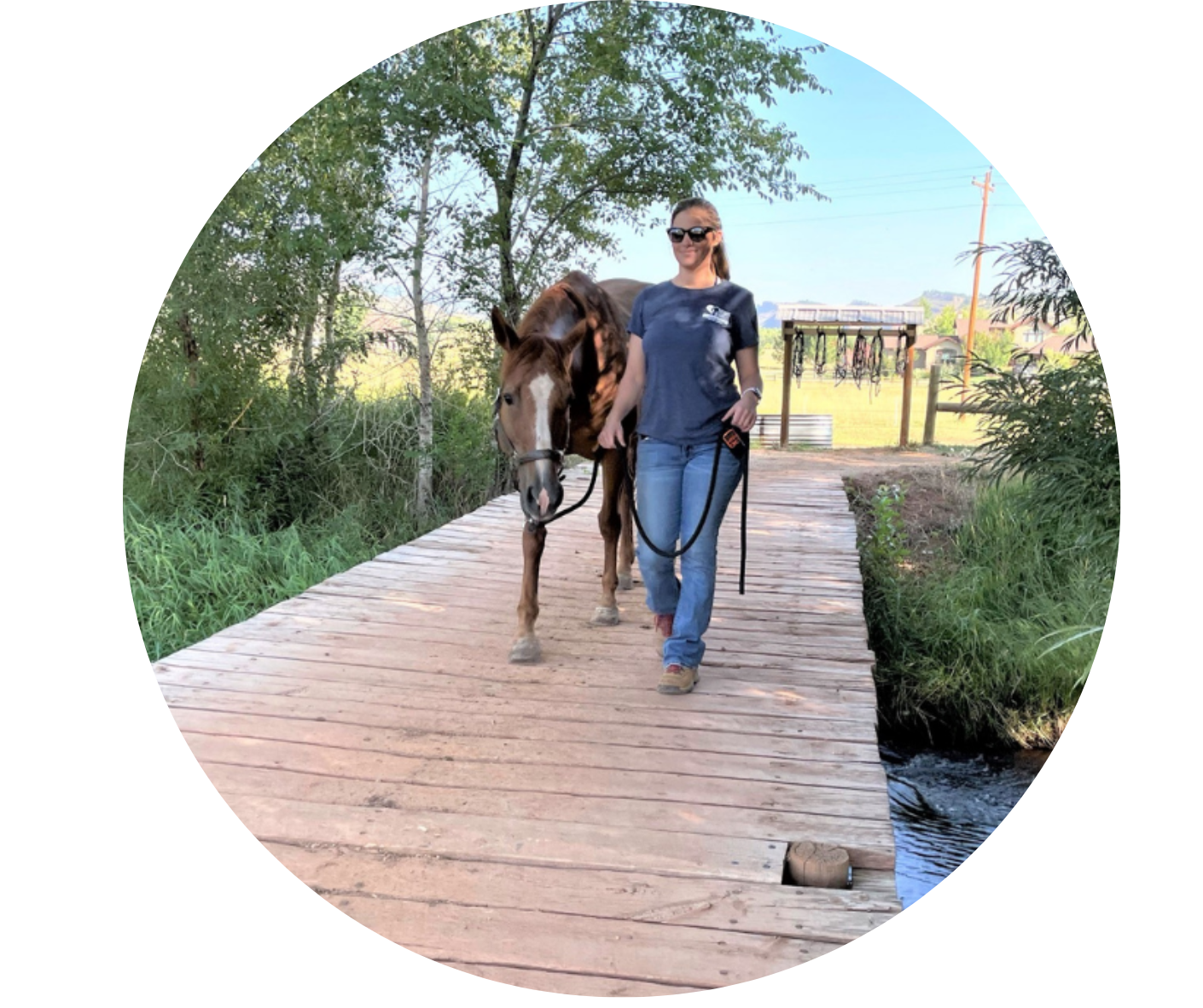 Woman in a blue shirt and jeans leading a brown horse across a wooden bridge. 